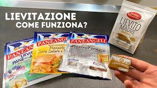 LIEVITAZIONE E MATURAZIONE - COME SCEGLIERE IL GIUSTO LIEVITO PER PIZZA E PANE