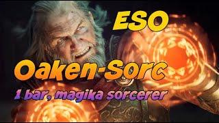 Oakensoul Ring Magika Sorcerer build. So easy to play!