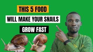 5 major food that will improve the growth of your snails #snailfarming #snailfarmingforbeginners