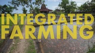 Concept Agriculture Integrated Farming