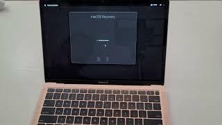 MacBook M1 ALL PASSWORDS LOST How to recover your Computer and reset passwords