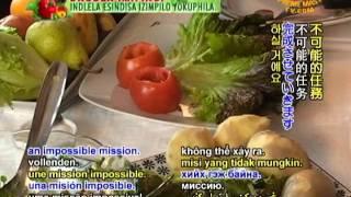 Chilean Succulent Salad of the Sea (In Spanish)