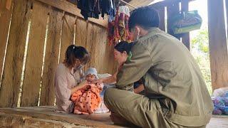 Find a mother for an abandoned baby - harvest gac to sell, buy chickens to raise |chúc thị lánh