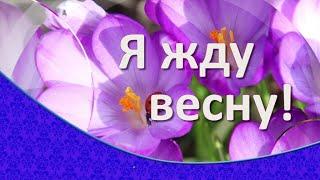 Я жду весну. Для тех , кто любит и ждёт весну.