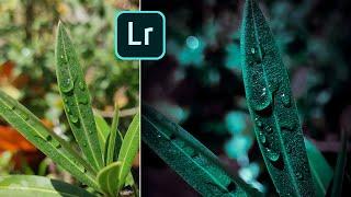 How to edit greeny leaf using Lightroom | Easy and simple editing tutorial |Lightroom mobile editing