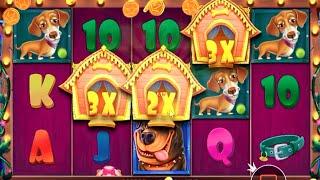 Big Win The Dog House - A Game By Pragmatic Play.