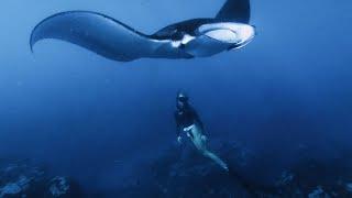 Freediving with Manta Rays - The most epic experience ever