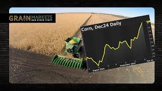 Corn Prices are STRONG During Harvest: Why??