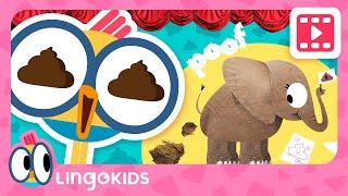 WHAT IS MANURE  Cartoons for kids | Lingokids