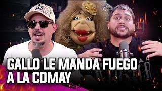 GALLO LE MANDA FUEGO A LA COMAY