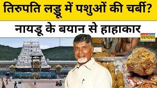 Andhra CM Chandrababu Naidu ने Tirupati laddoos को लेकर क्या  कहा कि मच गया बवाल ? | Hindi News