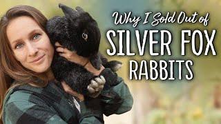 Why I don't raise Silver Fox Rabbits anymore... (Homestead Meat Rabbits)