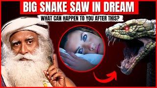 What Happens When We SAW SNAKE IN DREAM? | What If We Saw Snake In Dream? | Dreaming Of SNAKES