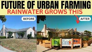 The Future Of Urban Farming: LA MicroFarm Grows Food with Rainwater