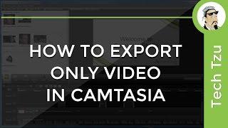 How To Export Only Video in Camtasia