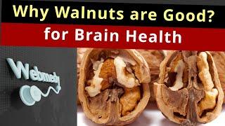 Walnuts: Is Walnut The Best Food for Brain Health? | Top 10 Ingredients