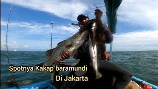 Luar biasa‼️ kaptennya ganteng kalo pemancing di bawa ke spot ini  || Kakap baramundi muara angke