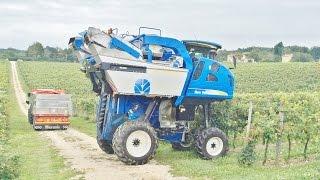 New Holland Braud VL 6080 Grape Harvester