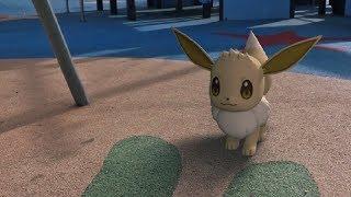 Eevee IN REAL LIFE - The World Of Pokémon