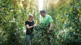 Hopfen Bentele | Trailer