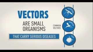 WHO Vector borne disease animation WHD2014