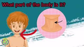 Parts of the Body Vocabulary for Kids! | Learn English Words for Body Parts