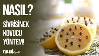 SİVRİSİNEKLERDEN KURTULMAK İÇİN EN ETKİLİ DOĞAL YÖNTEM! #sivrisinek #pratik #yöntem #nasil