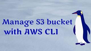 Manage s3 buckets with AWS CLI