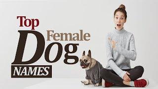 female dog names in English Vocabulary