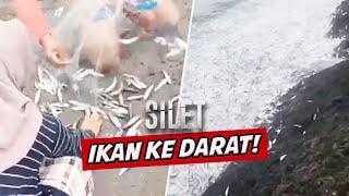 Fenomena Ributan Ikan Naik Ke Daratan, Warga Garut Langsung Berburu! | SILET