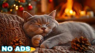 Calming music for Cats  Cozy Autumn Ambience no ads | Cat music for anxiety | Piano cat music