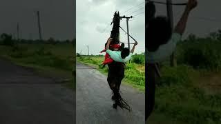 tej  l| kudva vala ghoda || ashw prami ||  horse lovers|| Subscribe more videos updates