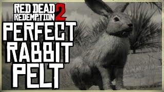 HOW TO GET A PERFECT RABBIT PELT - RED DEAD REDEMPTION 2 PRISTINE BLACK-TAILED JACKRABBIT HUNT