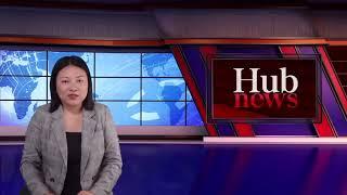 Hub News | 26 October 2024