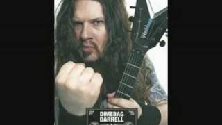 Dimebag Darrel - Snowblind