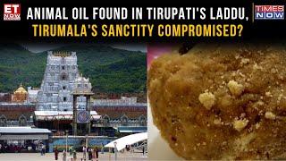 Tirumala Prasad Controversy: J Sai Deepak Compared Tirupati Laddu Row To What Britisher Did In India