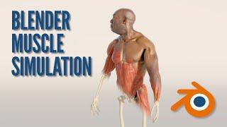 Blender Muscle Simulation