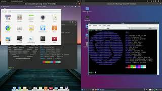 Elementary OS 5 vs Lubuntu 20.10