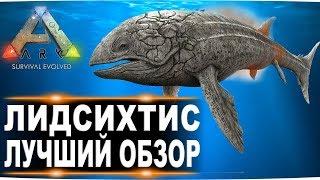 Лидсихтис (Leedsichthys) в АРК. Лучший обзор: способности  в ark