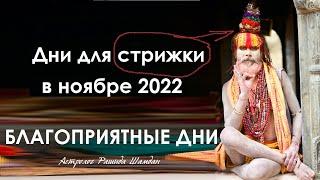 Дни для стрижки в ноябре 2022 Благоприятные дни стрижка