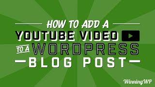 How to Add a YouTube Video to a WordPress Blog Post or Page