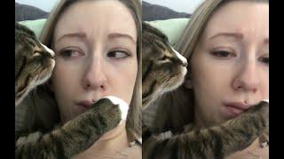 Overly Romantic Cat Annoys Owner