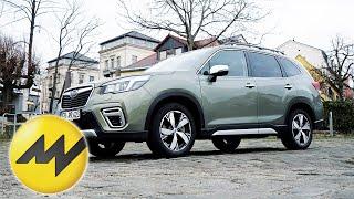 Subaru Forester e-Boxer 2020 | Subarus erster Hybrid | Motorvision