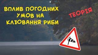 Влияние ветра, температуры, атмосферного давления на клев рыбы. Влияние погоды на рыбалку.