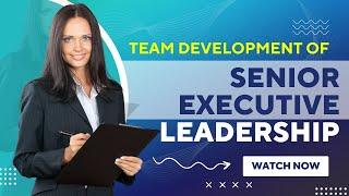 Senior Executive Leadership Team Development | Promise Training & Consultancy