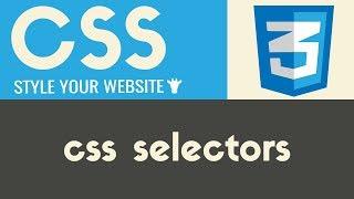 CSS Selectors | CSS | Tutorial 12