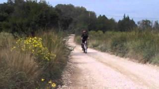 Cycling through Provence