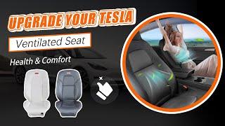 Revolutionize Your Tesla Experience Ventilated Seat Upgrade | Easy Install & Health Benefits