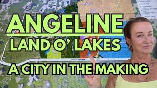 Land O Lakes, FLORIDA'S Best NEW community, ANGELINE FL