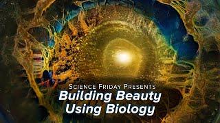 Building Beauty with Biology